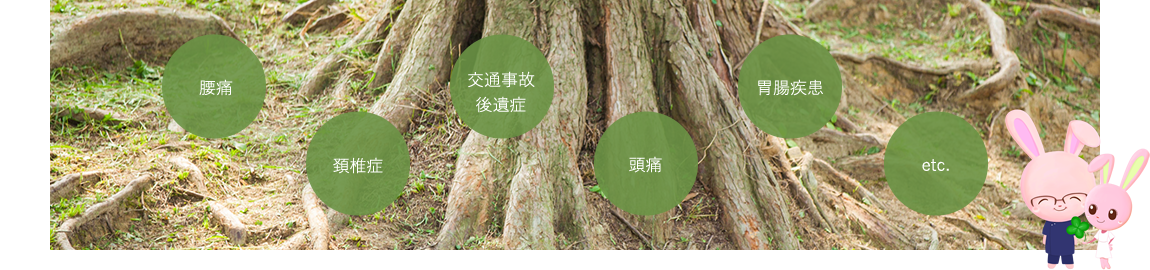 とみ鍼灸治療院 刺絡療法