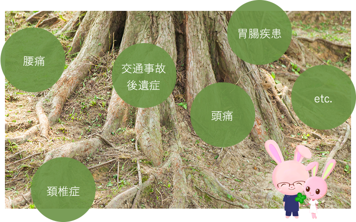 とみ鍼灸治療院 刺絡療法